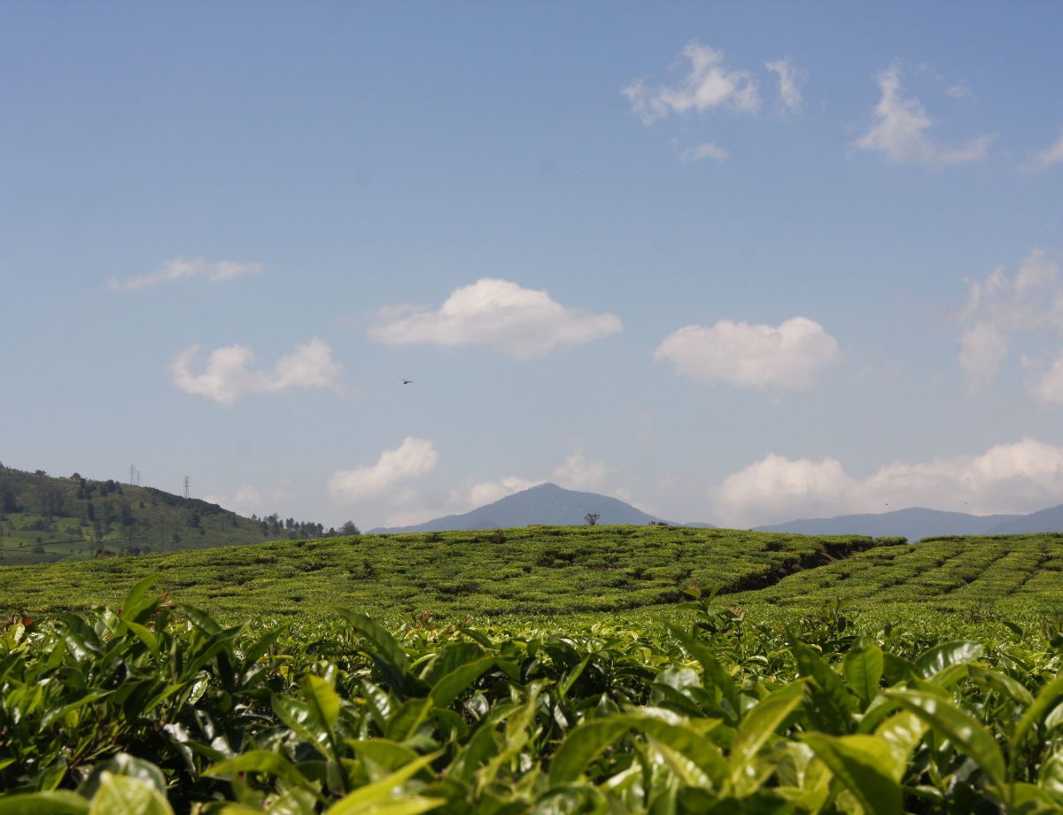 West Java for adventurers