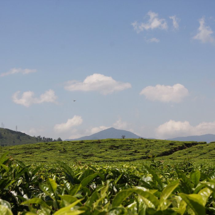 West Java for adventurers