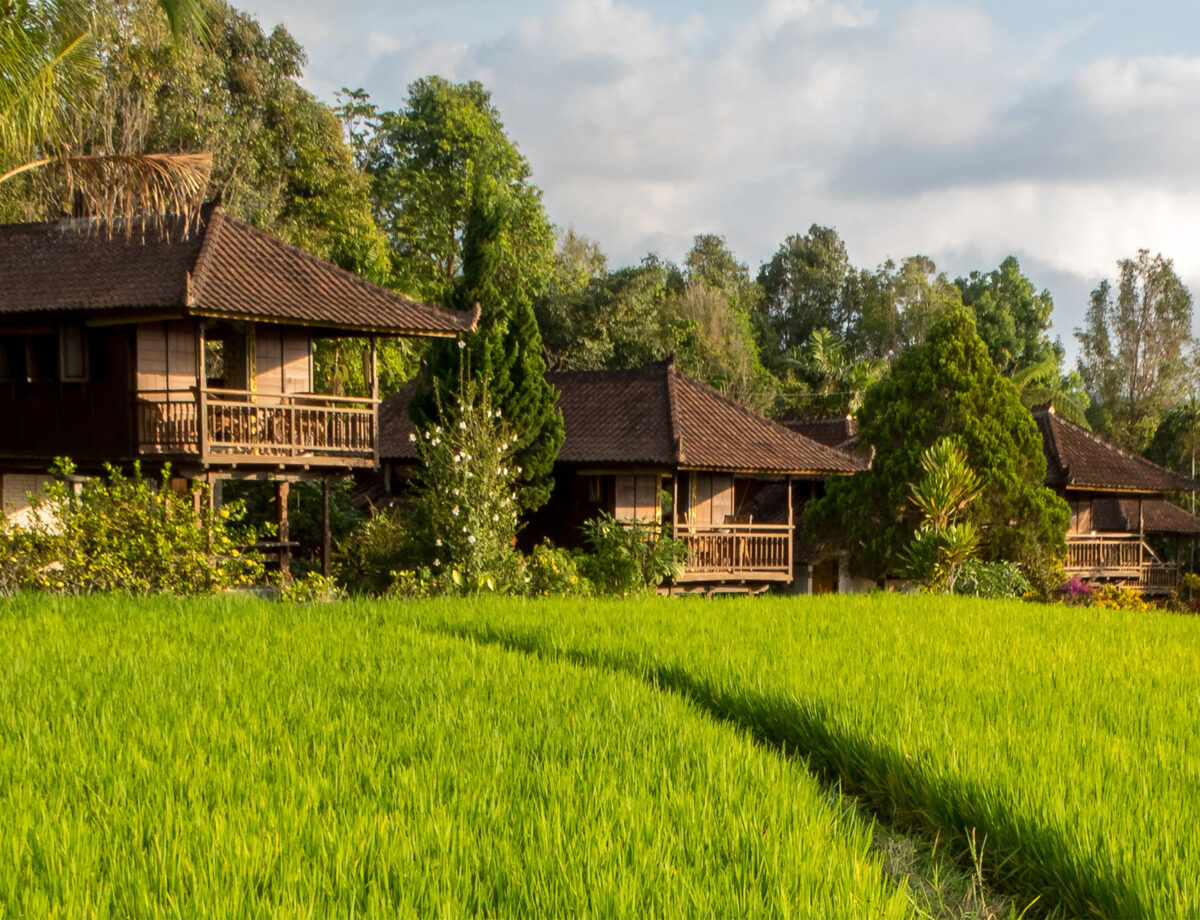 Java van Jakarta naar Bali zonder massa toerisme