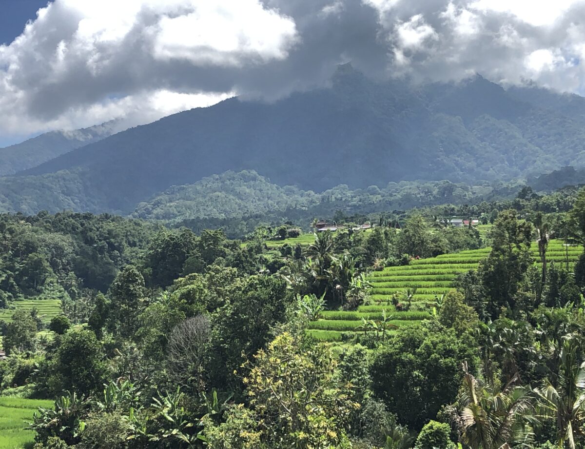Best of Bali