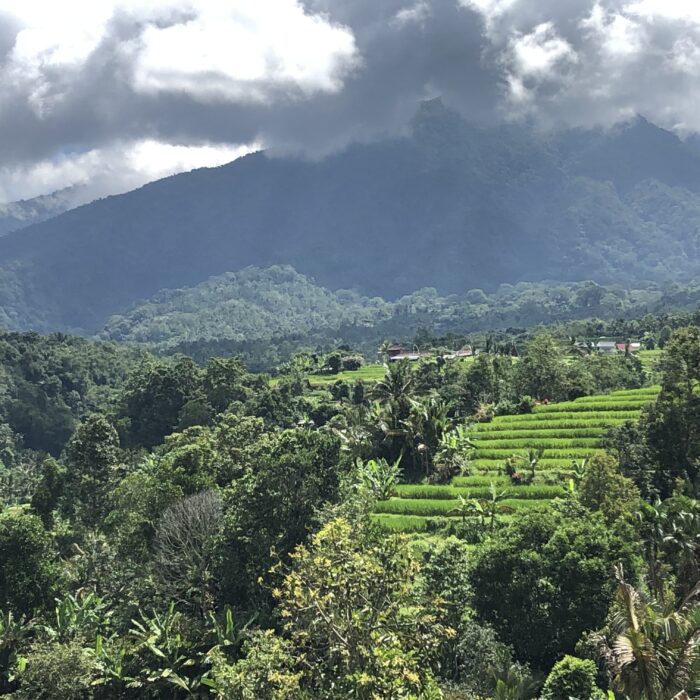 Best of Bali