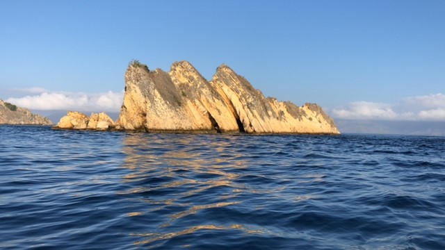 Het beste van het beste Flores